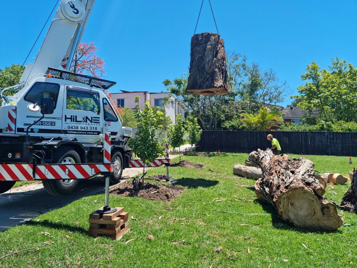 Tree health care and fertilization treatments
